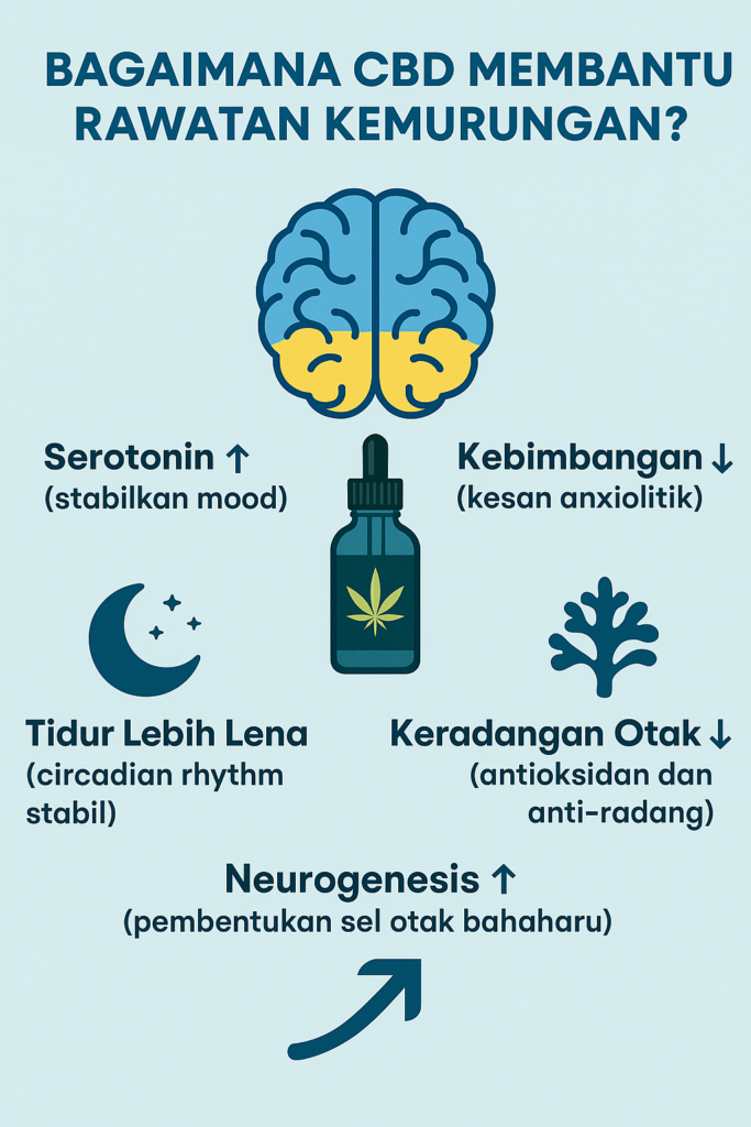 Fungsi CBD Dalam Rawatan Kemurungan: Bukti Saintifik dan Faedahnya
